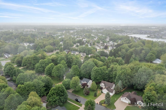 11081 Timberline Dr, Allendale, MI 49401 - drone / aerial view of a large body of water