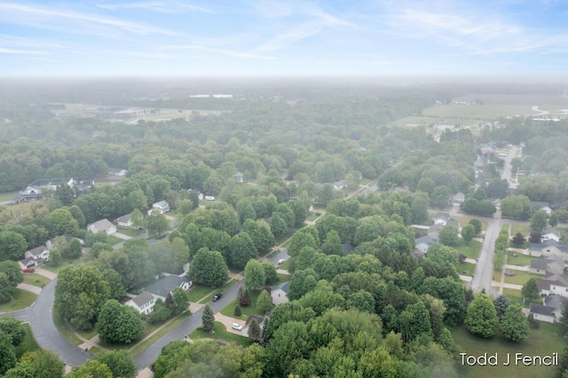 11081 Timberline Dr, Allendale, MI 49401 - drone / aerial view
