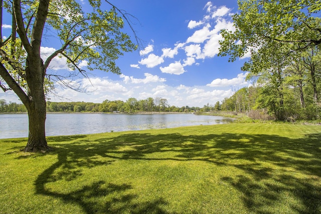 15842 Portage Rd, Vicksburg, MI 49097 - water view