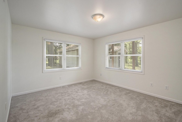 15842 Portage Rd, Vicksburg, MI 49097 - spare room with plenty of natural light, carpet, and baseboards