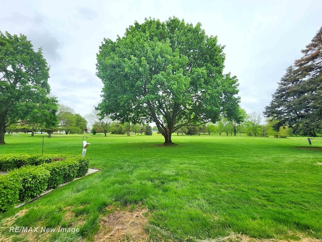 9135 Greenway Blvd, Saginaw, MI 48609 - view of grassy yard