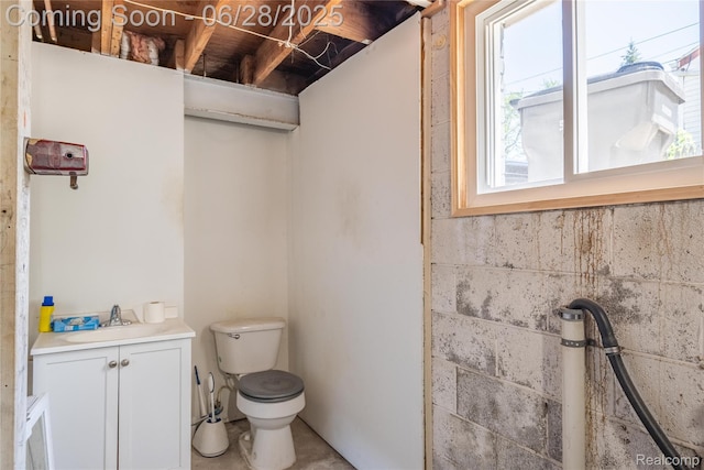 36426 Weideman St, Clinton Township, MI 48035 - bathroom with vanity and concrete block wall