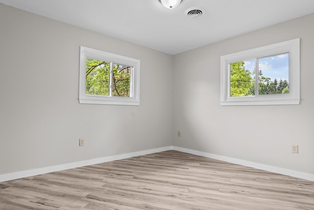 7060 Dobson Rd, Jonesville, MI 49250 - spare room with plenty of natural light, light wood-style flooring, and baseboards