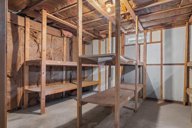 7060 Dobson Rd, Jonesville, MI 49250 - view of basement