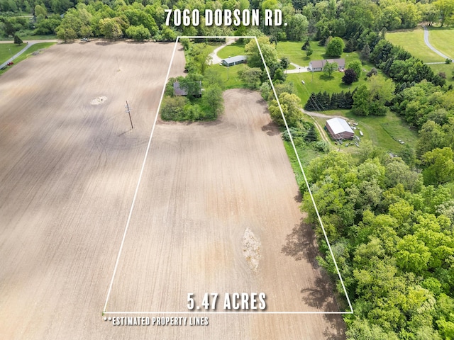 7060 Dobson Rd, Jonesville, MI 49250 - aerial overview of property's location with property parcel outlined