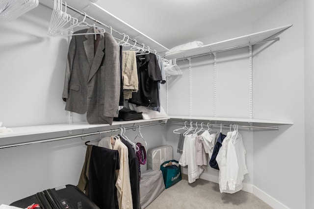 245 Cavelier Ave, Saint Joseph, MI 49085 - spacious closet featuring carpet flooring