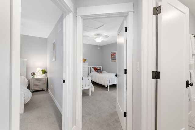 245 Cavelier Ave, Saint Joseph, MI 49085 - hallway with light colored carpet and baseboards