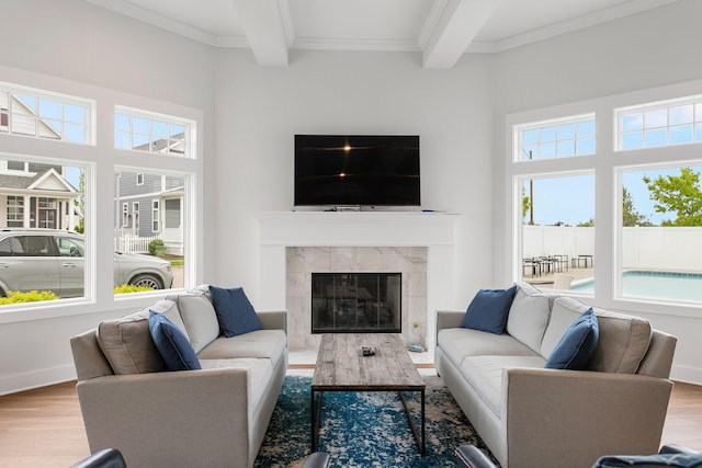 245 Cavelier Ave, Saint Joseph, MI 49085 - living room featuring wood finished floors, beam ceiling, a premium fireplace, and ornamental molding