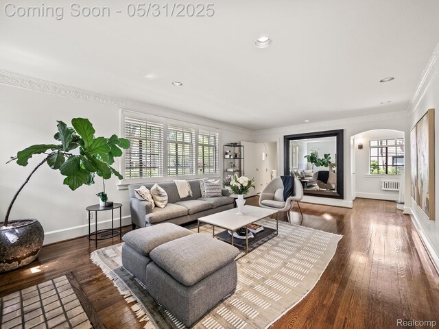 822 Suffield Ave, Birmingham, MI 48009 - living area featuring radiator, ornamental molding, arched walkways, healthy amount of natural light, and wood-type flooring