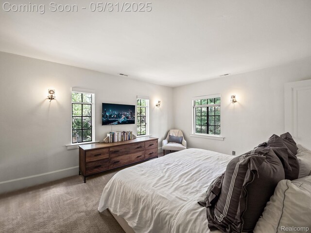 822 Suffield Ave, Birmingham, MI 48009 - bedroom featuring multiple windows, carpet flooring, and baseboards