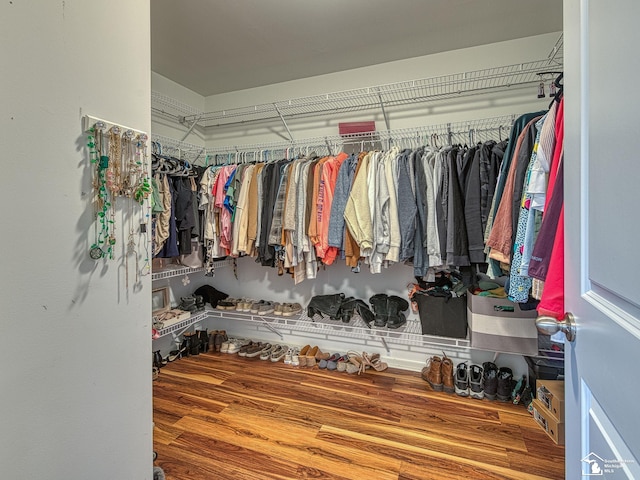 691 Foxworth St, Dundee, MI 48131 - spacious closet featuring wood finished floors