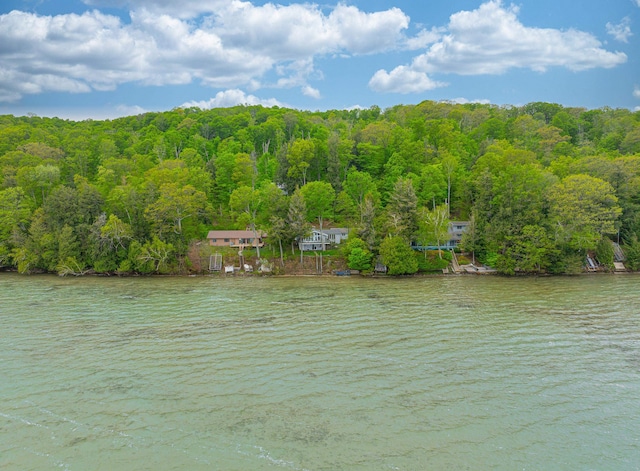 6514 Beech Tree Rd, Glen Arbor, MI 49636