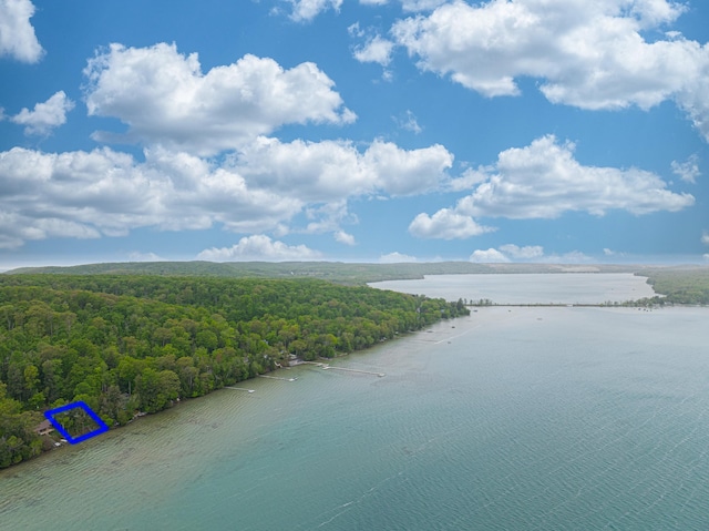 6514 Beech Tree Rd, Glen Arbor, MI 49636