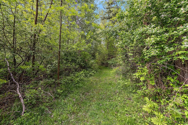 17270 Taft Rd, Spring Lake, MI 49456 - view of woods
