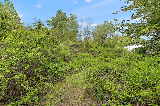 17270 Taft Rd, Spring Lake, MI 49456 - view of woods