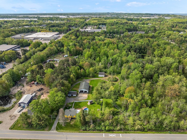 17270 Taft Rd, Spring Lake, MI 49456 - drone / aerial view of a forest