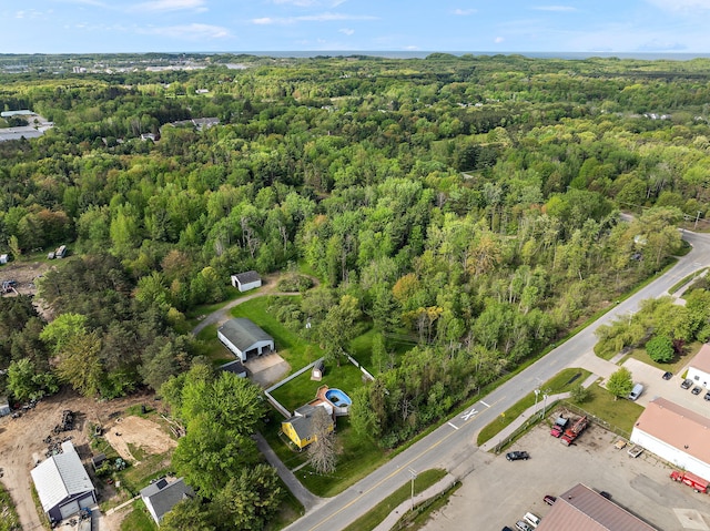 17270 Taft Rd, Spring Lake, MI 49456 - bird's eye view of a forest