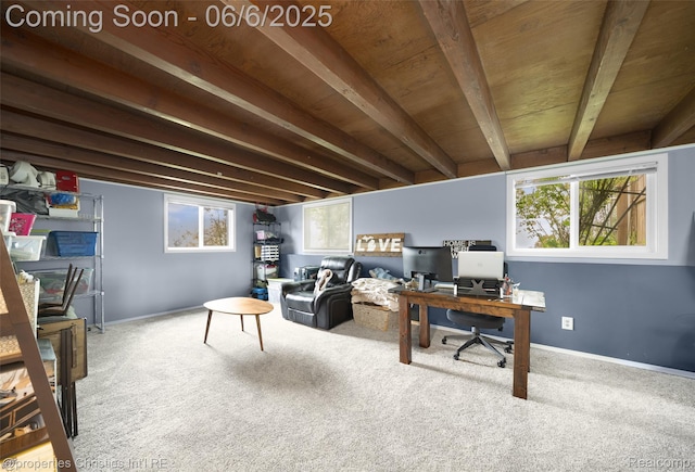 34143 Zimmer Dr, Sterling Heights, MI 48310 - office area featuring carpet floors, wood ceiling with exposed beams, and baseboards
