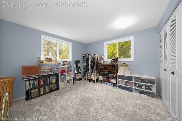 34143 Zimmer Dr, Sterling Heights, MI 48310 - bedroom with a closet and carpet floors