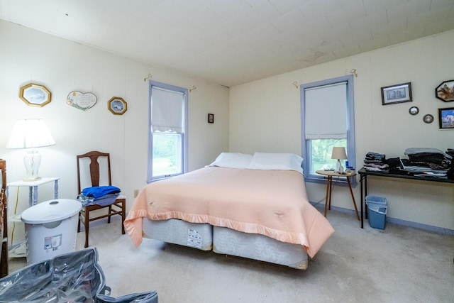 8324 Hagar Shore Rd, Watervliet, MI 49098 - bedroom with carpet