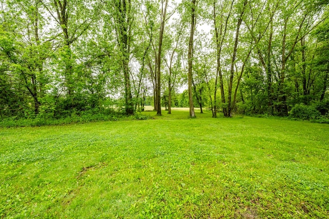 8324 Hagar Shore Rd, Watervliet, MI 49098 - view of green lawn