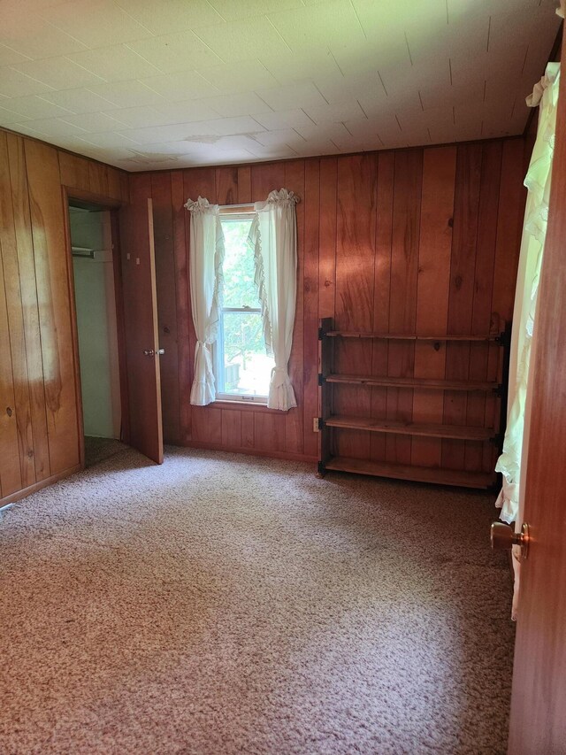 8324 Hagar Shore Rd, Watervliet, MI 49098 - carpeted empty room featuring wooden walls