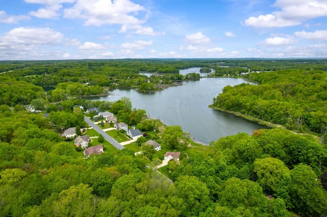 4132 Winding Way, Kalamazoo, MI 49004 - drone / aerial view of a heavily wooded area and a large body of water