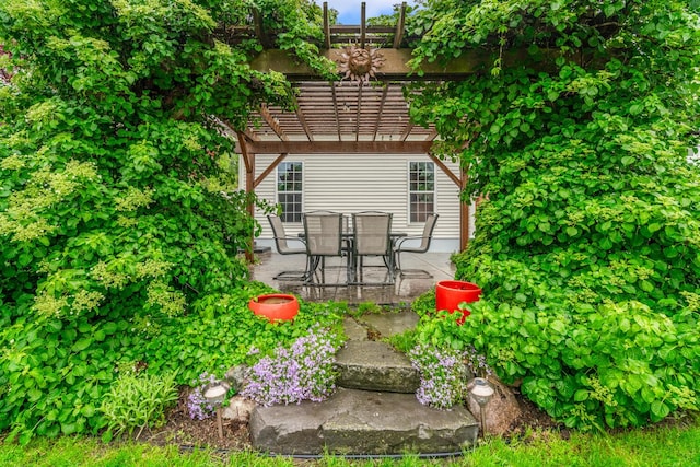 4132 Winding Way, Kalamazoo, MI 49004 - rear view of property with a pergola and a patio