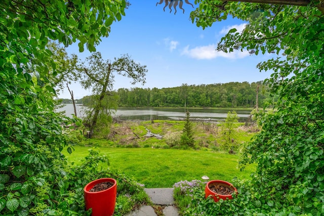 4132 Winding Way, Kalamazoo, MI 49004 - view of green lawn featuring a water view and a wooded view