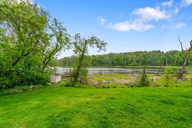 4132 Winding Way, Kalamazoo, MI 49004 - view of grassy yard featuring a water view and a view of trees
