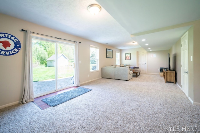 8718 Little Bend Ct, Middleville, MI 49333 - living room with carpet, baseboards, and recessed lighting