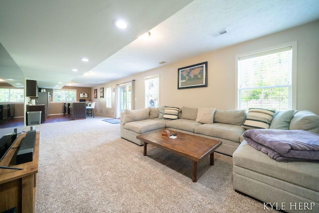 8718 Little Bend Ct, Middleville, MI 49333 - living room with carpet floors, recessed lighting, and baseboards
