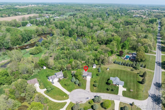 8718 Little Bend Ct, Middleville, MI 49333 - aerial view of property's location with a forest