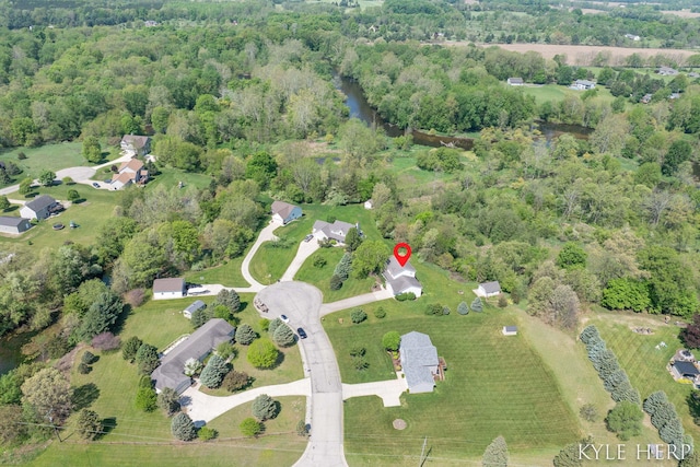 8718 Little Bend Ct, Middleville, MI 49333 - aerial view of property and surrounding area
