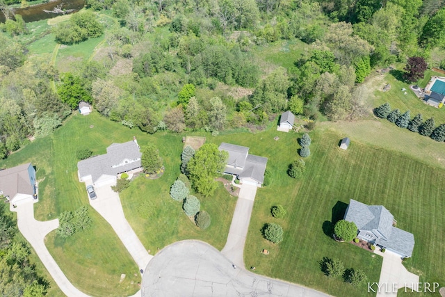 8718 Little Bend Ct, Middleville, MI 49333 - aerial view of property's location