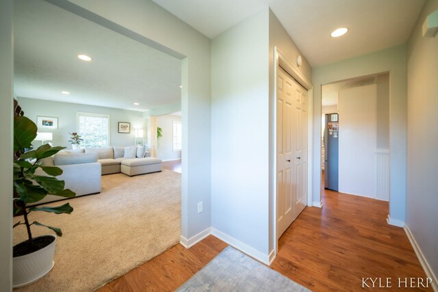 8718 Little Bend Ct, Middleville, MI 49333 - hallway with wood finished floors, recessed lighting, and baseboards