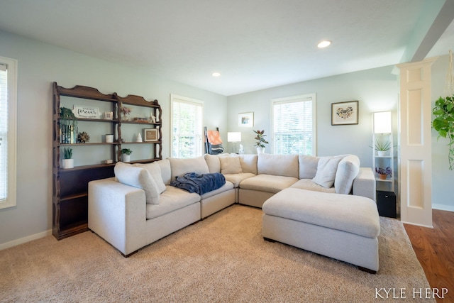 8718 Little Bend Ct, Middleville, MI 49333 - living area featuring healthy amount of natural light, recessed lighting, baseboards, and wood finished floors