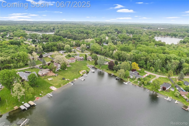 11404 Cedar Bend Dr, Pinckney, MI 48169 - aerial overview of property's location with a forest and a large body of water