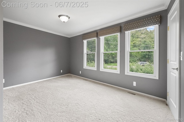 11404 Cedar Bend Dr, Pinckney, MI 48169 - unfurnished room featuring ornamental molding, carpet floors, and baseboards
