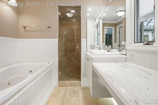 11404 Cedar Bend Dr, Pinckney, MI 48169 - full bath with a stall shower, double vanity, a whirlpool tub, a wainscoted wall, and crown molding