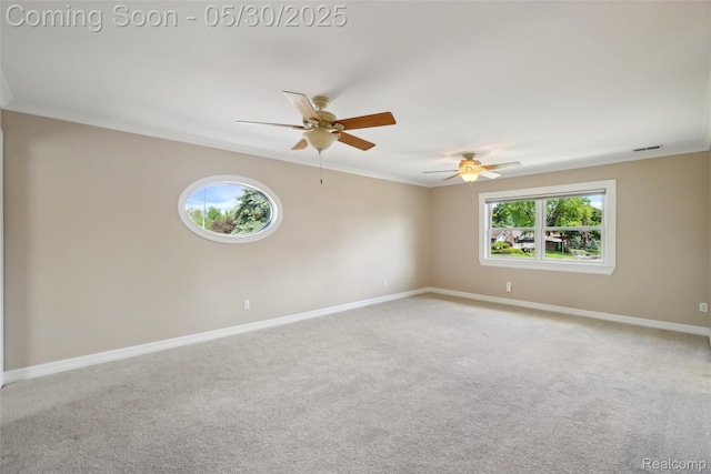 13525 Torrey Rd, Fenton, MI 48430 - spare room with baseboards, carpet floors, a ceiling fan, and ornamental molding