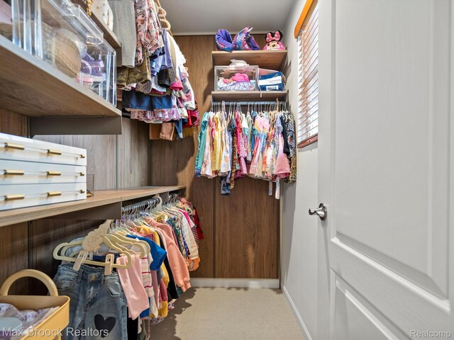 764 Hummingbird Dr, Rochester, MI 48307 - walk in closet with carpet floors