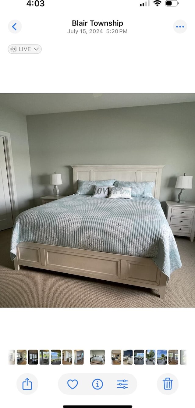333 S W Silver Lake Rd, Michigan, MI 49685 - bedroom featuring carpet