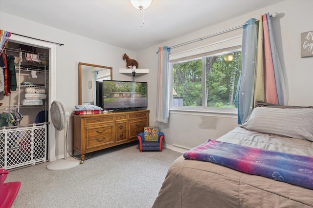 5245 Puetz Rd, Stevensville, MI 49127 - carpeted bedroom featuring baseboards, a closet, and a walk in closet