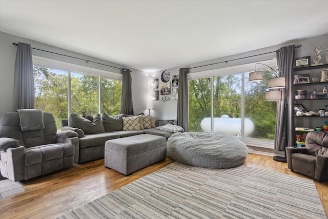 5245 Puetz Rd, Stevensville, MI 49127 - living area featuring plenty of natural light and wood finished floors