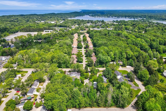 283 Wiley Rd, Douglas, MI 49406 - aerial view of a nearby body of water and a heavily wooded area