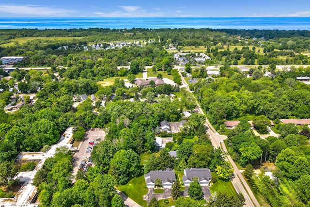 283 Wiley Rd, Douglas, MI 49406 - bird's eye view of a heavily wooded area and a nearby body of water