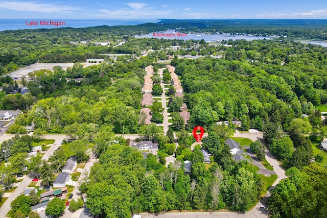 283 Wiley Rd, Douglas, MI 49406 - bird's eye view of a heavily wooded area and a large body of water