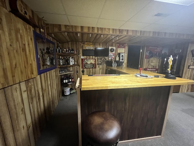 12050 S Ponderosa, Sand Lake, MI 49343 - indoor dry bar with a drop ceiling, wood walls, and carpet floors