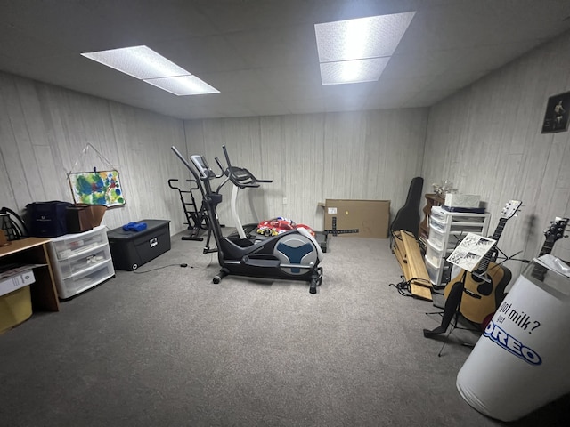 12050 S Ponderosa, Sand Lake, MI 49343 - workout area with carpet floors and wooden walls